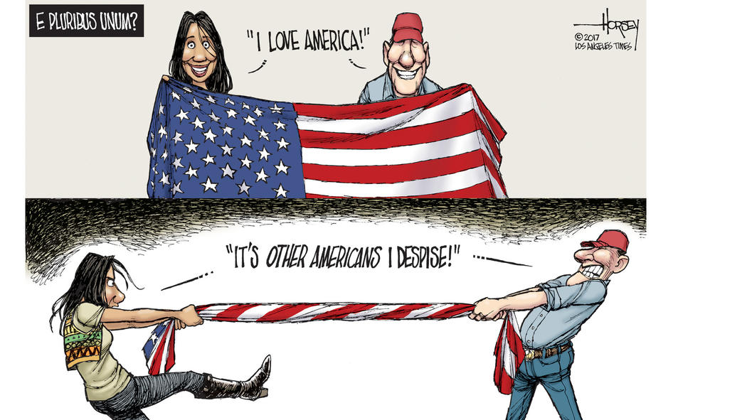 american-hate-cartoon